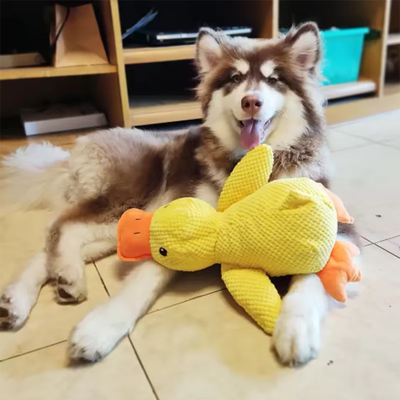 Dog sleeping with a dog hug duck toys to relieve boredom of little